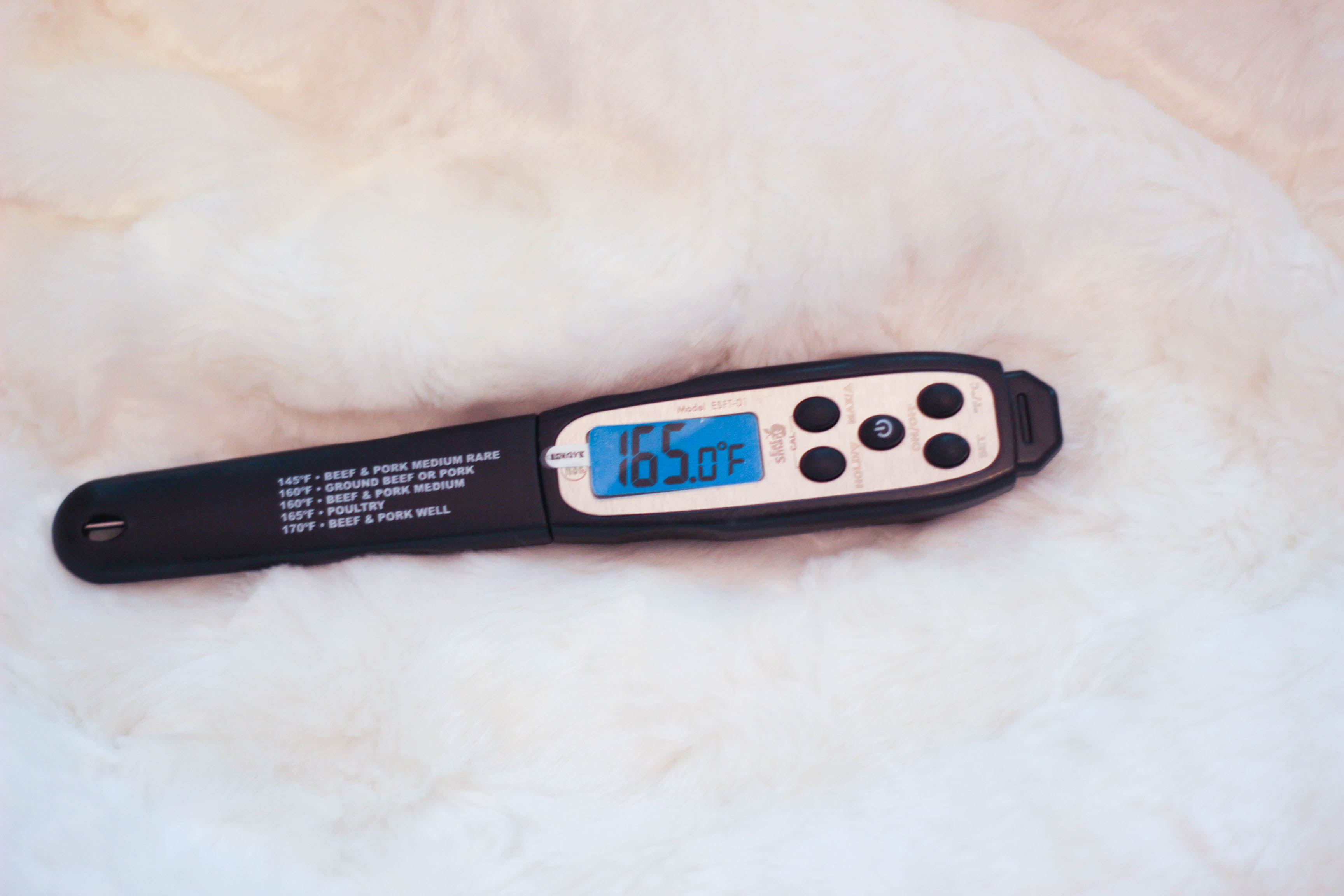 The Best Food Thermometer Money Can Buy