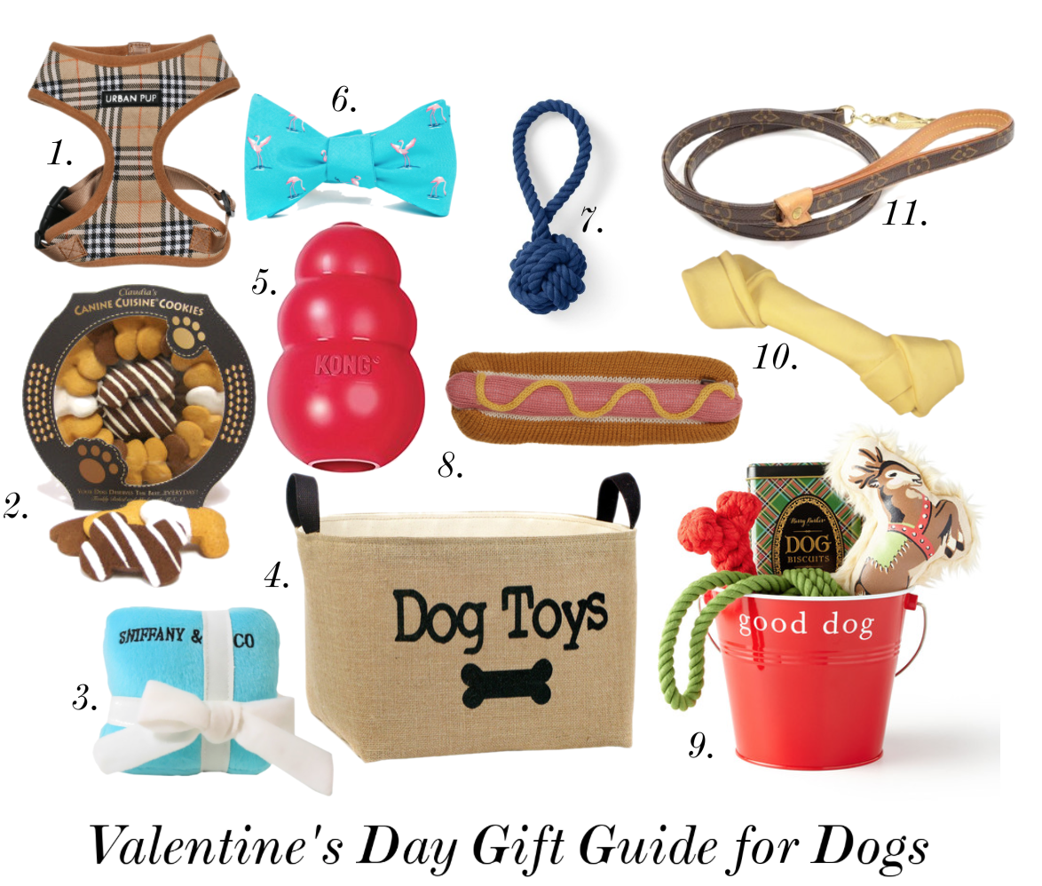 what-to-get-your-dog-for-valentines-day