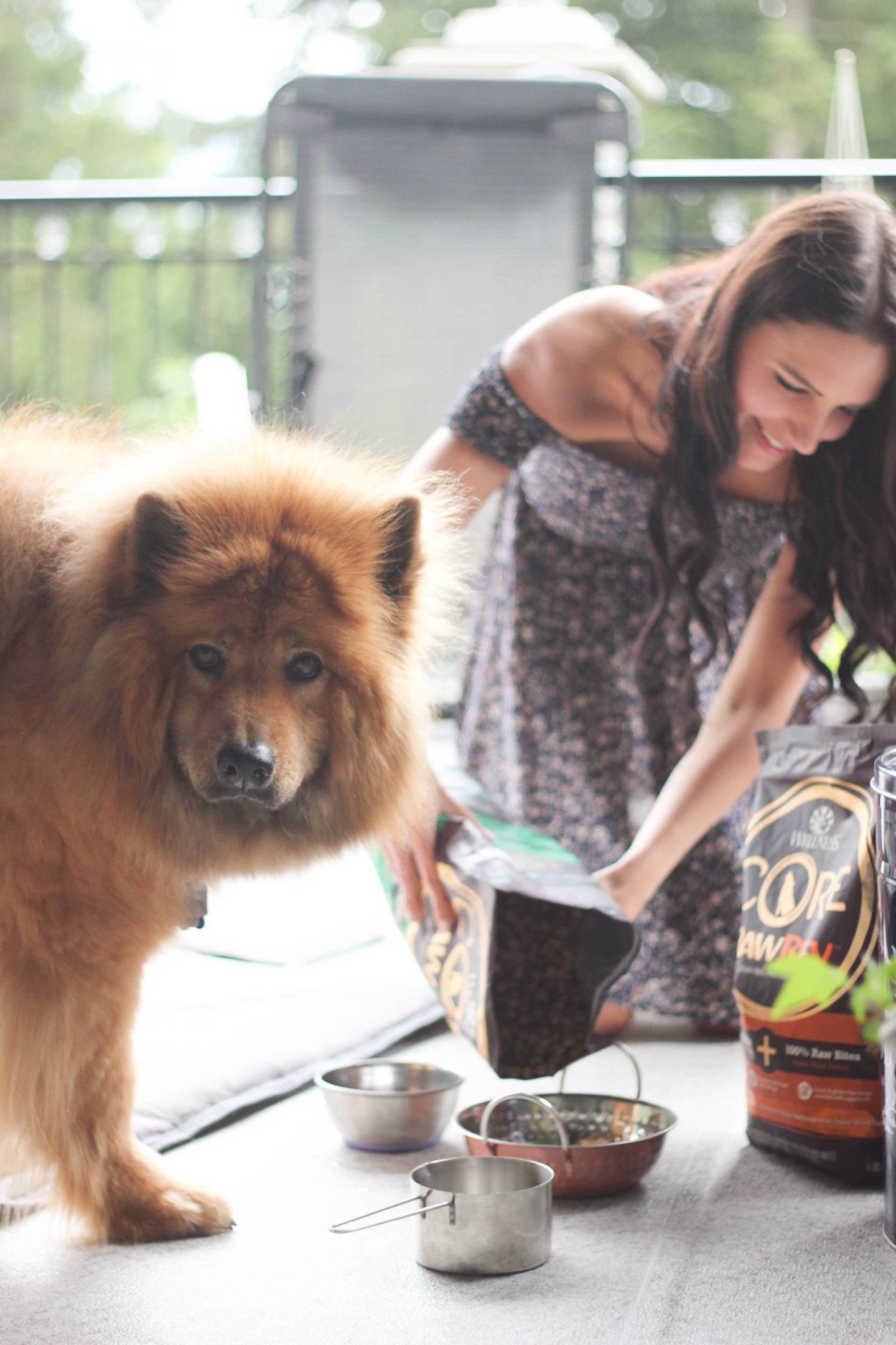 4 Reasons Why You Should Feed Your Dog Raw Food KRYSTIN TYSIRE